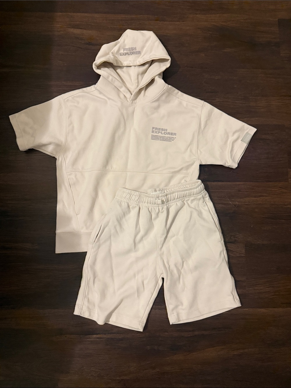 Zara short and hoodie matching set
